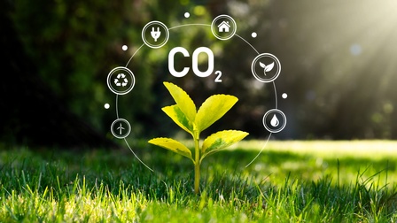Eine Jungpflanze wächst in einer Wiese darüber zeigen sich grafische Elemente zum Thema CO2